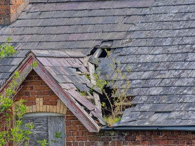 Professional water damage restoration services in Valley Lee